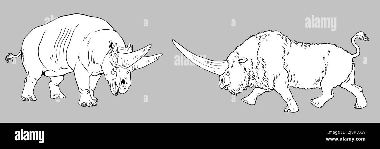 Prähistorische Nashörner - Elasmotherium und Arsinoitherium. Zeichnung mit ausgestorbenen Säugetieren. Silhouette Zeichnung für zum ausmalen. Stockfoto