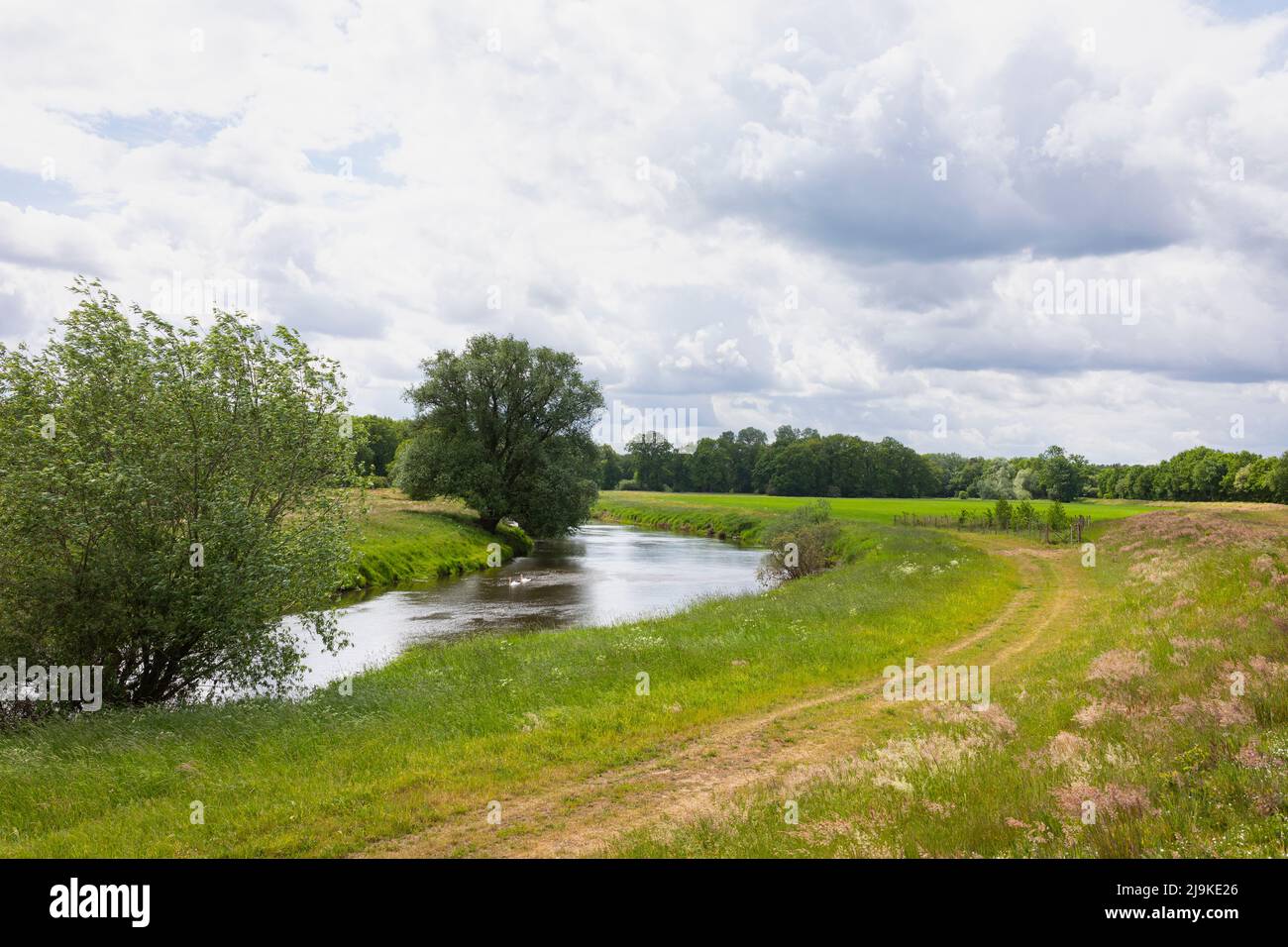 Landschaft mit Haase in Niedersachsen, Deutschland Stockfoto