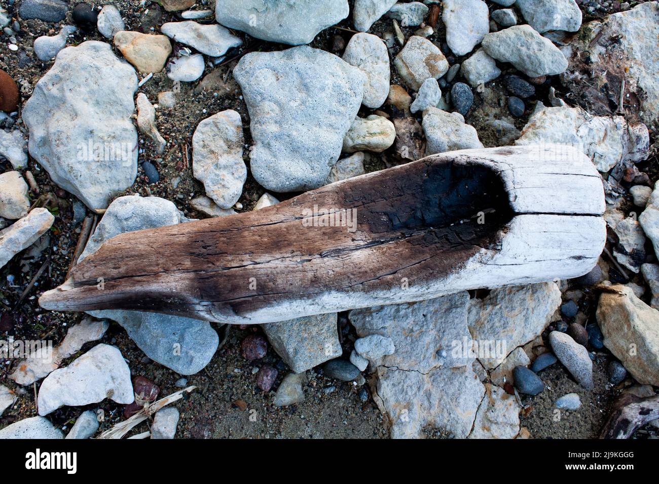 Treibholz angespült Stockfoto