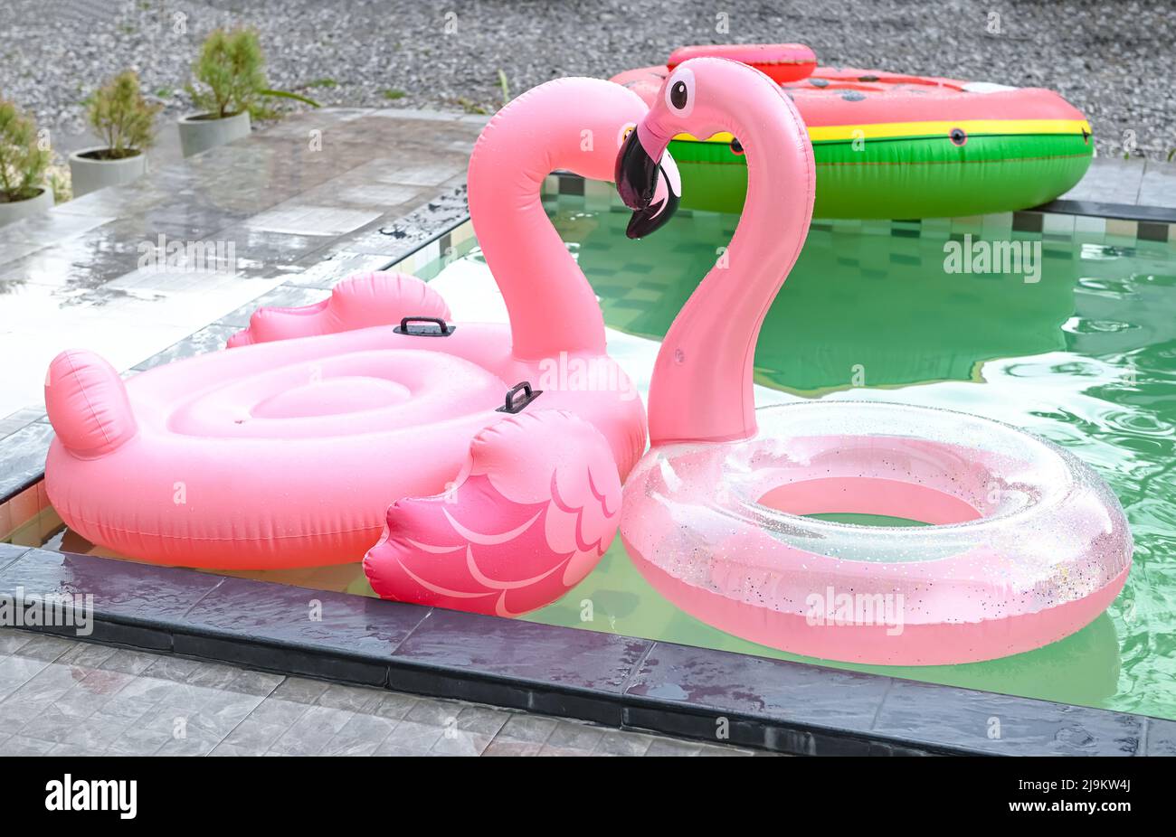 Farbenfrohe Schwimmhalle, rosa Ring am Pool, Pool-Gummiring Flamingo Stockfoto