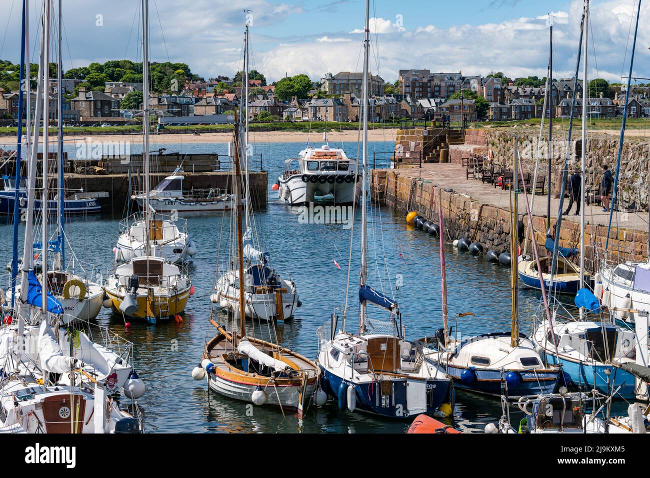 North Berwick, East Lothian, Schottland, Großbritannien, 24.. Mai 2022. UK Wetter: An einem sonnigen Tag ist es in der Küstenstadt warm. Ein Touristenboot kehrt von einer Fahrt zum Bass Rock zum Hafen zurück. Kredit: Sally Anderson/Alamy Live Nachrichten Stockfoto