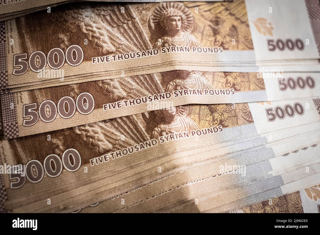 Damaskus, Syrien - 2022. Mai: Syrisches Geld, Nahaufnahme des syrischen Pfund Stockfoto
