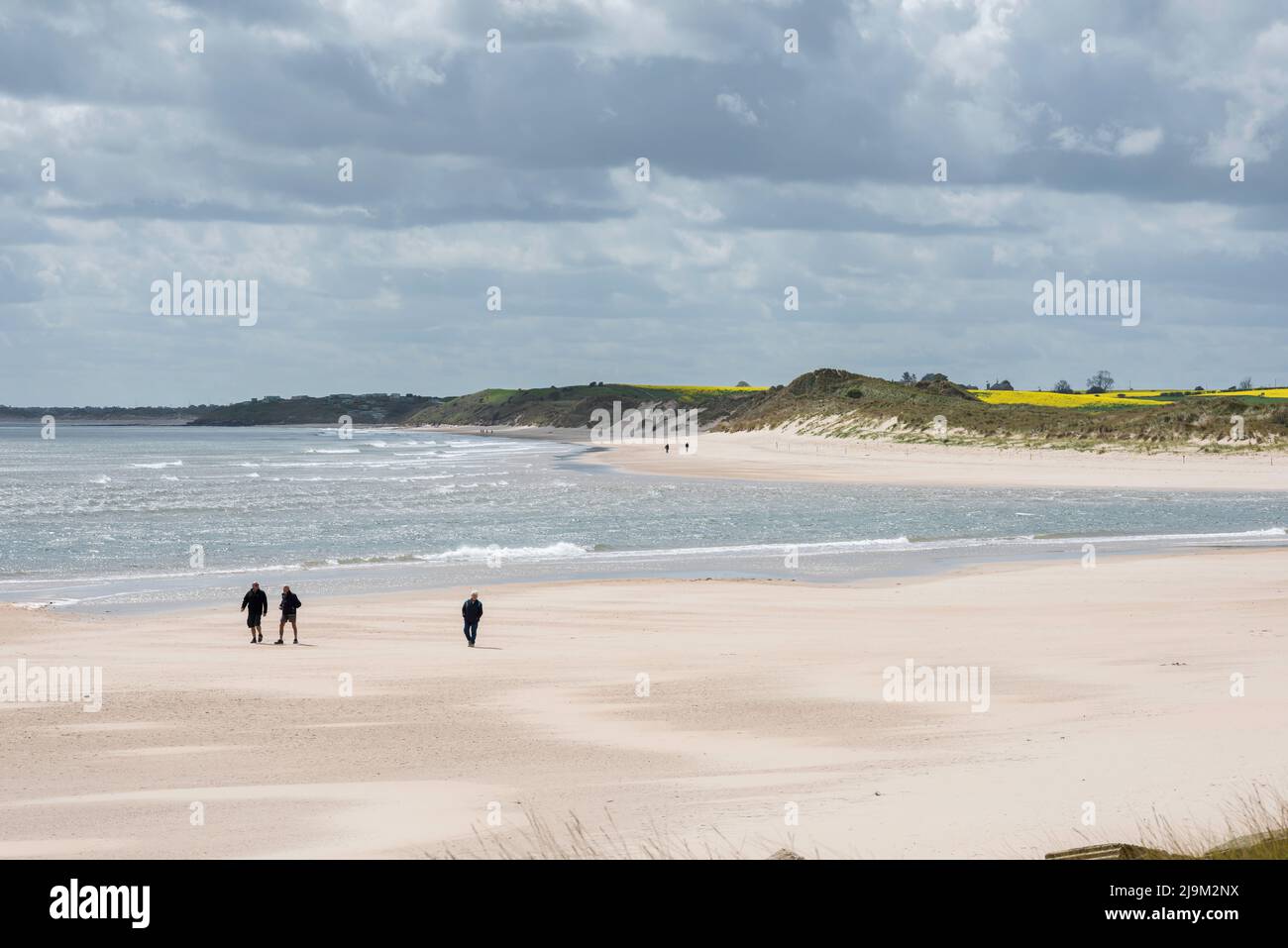 Northumberland Beach, Blick im späten Frühling auf Menschen, die am Sandstrand in Alnmouth Bay an der Northumberland Küste, Alnmouth, England, Großbritannien, spazieren gehen Stockfoto