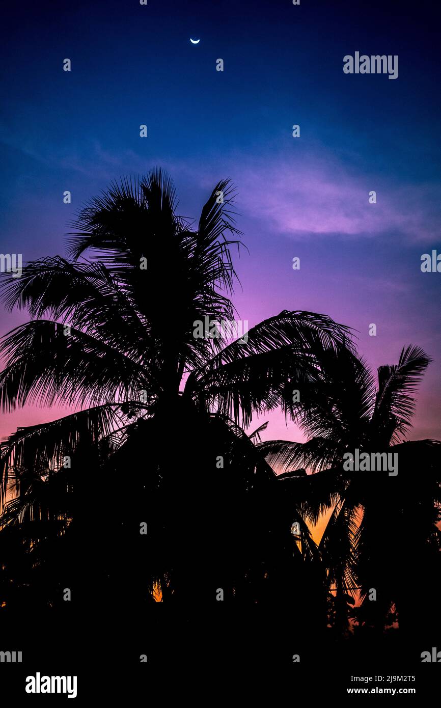 An einem Abend, an dem der farbenfrohe, atemberaubende Himmel auf den künstlerischen Mond trifft, wo es keinen Wind gibt, ist die Natur ruhig und die Nachttiere beginnen zu arbeiten Stockfoto