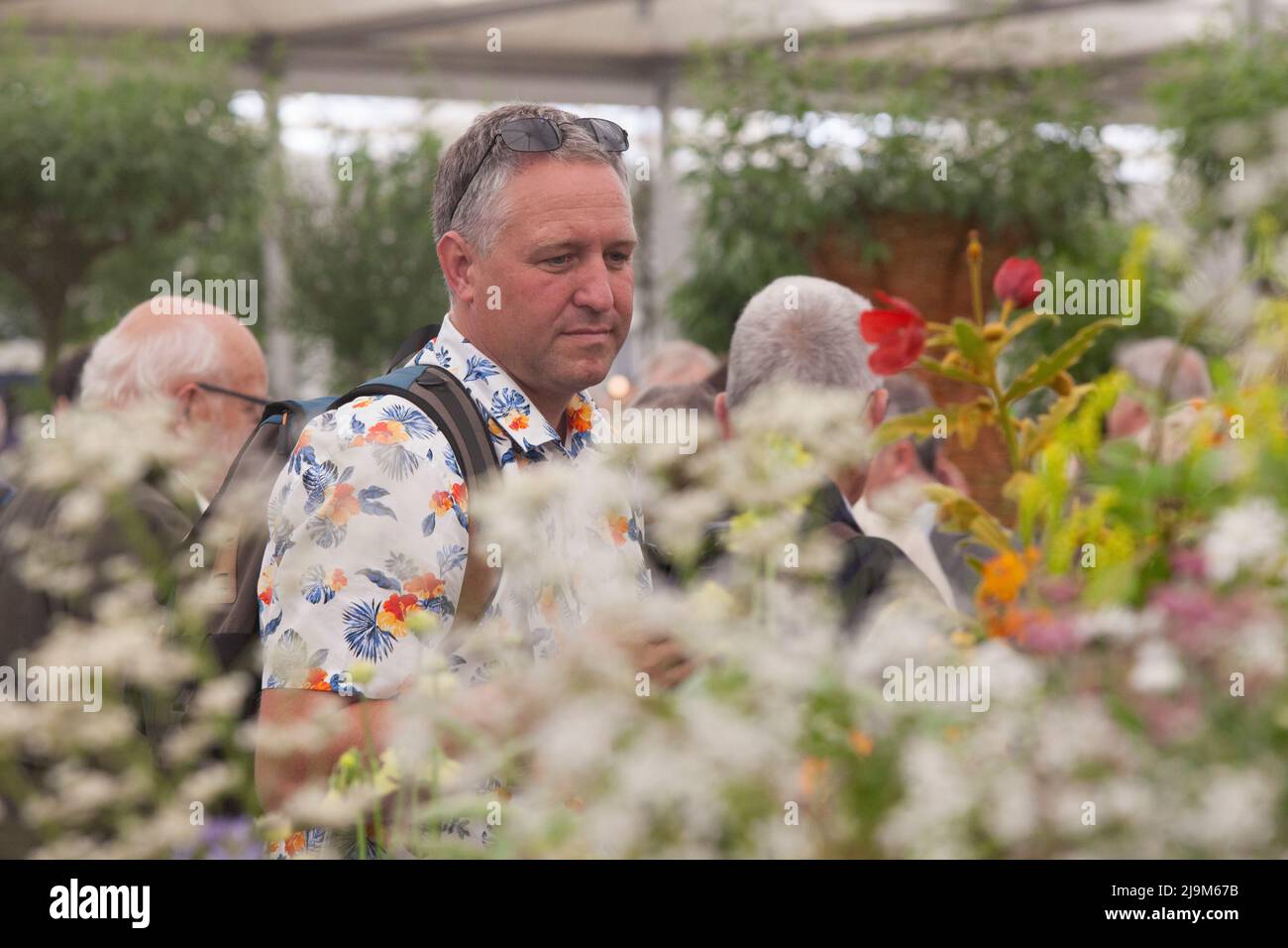 London, Großbritannien, 24. Mai 2022: Die RHS Chelsea Flower Show wurde heute der Öffentlichkeit zugänglich gemacht, und Pflanzenliebhaber konnten sich im Festzelt und in den Schaugärten fachkundige Ausstellungen ansehen. Anna Watson/Alamy Live News Stockfoto