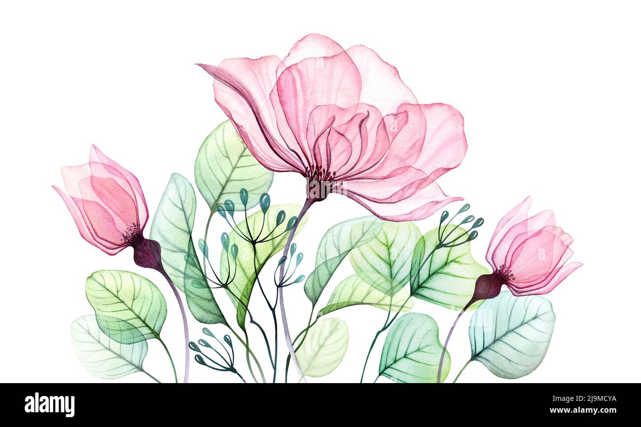 Transparentes Aquarellbanner mit Rosé. Großes Blumenarrangement aus rosa Blüten, Knospen und Eukalyptusblättern. Abstrakte handbemalte Illustration für Hochzeit Stockfoto