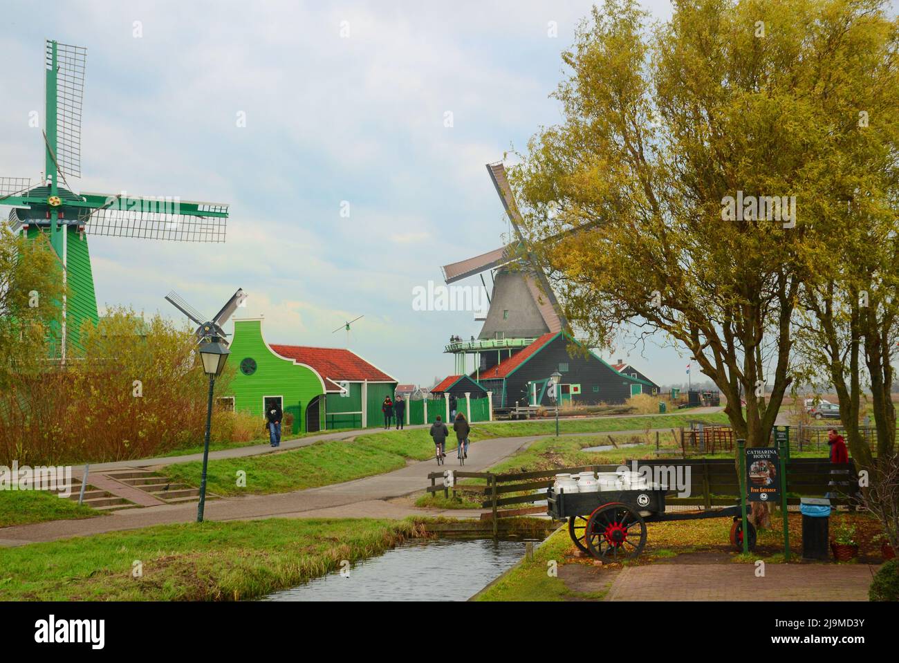 Niederländische Windmühlen und Milchviehbetriebe in Zannse Schans mit Kanälen, die an einem schönen bewölkten Tag von Weidenbäumen umgeben sind. Stockfoto