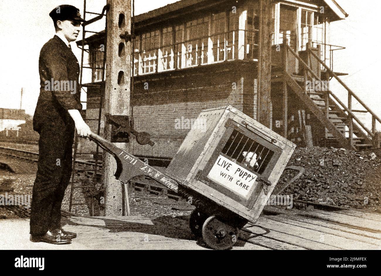 Foto eines LNER-Eisenbahnportiers, der einen lebenden Welpen transportiert, um die 1930er Jahre, mit Signalbox im Hintergrund Stockfoto