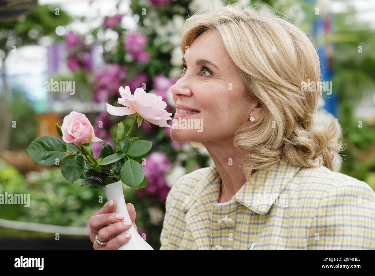 Anthea Turner riecht eine neue Rose (Oxford Physic), die von Peter Beales Roses auf der RHS Chelsea Flower Show 2022 vorgestellt wurde Stockfoto