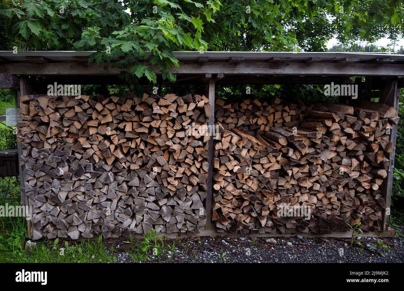 Große Baumstämme aus Holzprodukten der Holzindustrie, Forstwirtschaft zur Lagerung in einem Bauernhaus im Landdorf Schattenhalb in der Schweiz Stockfoto