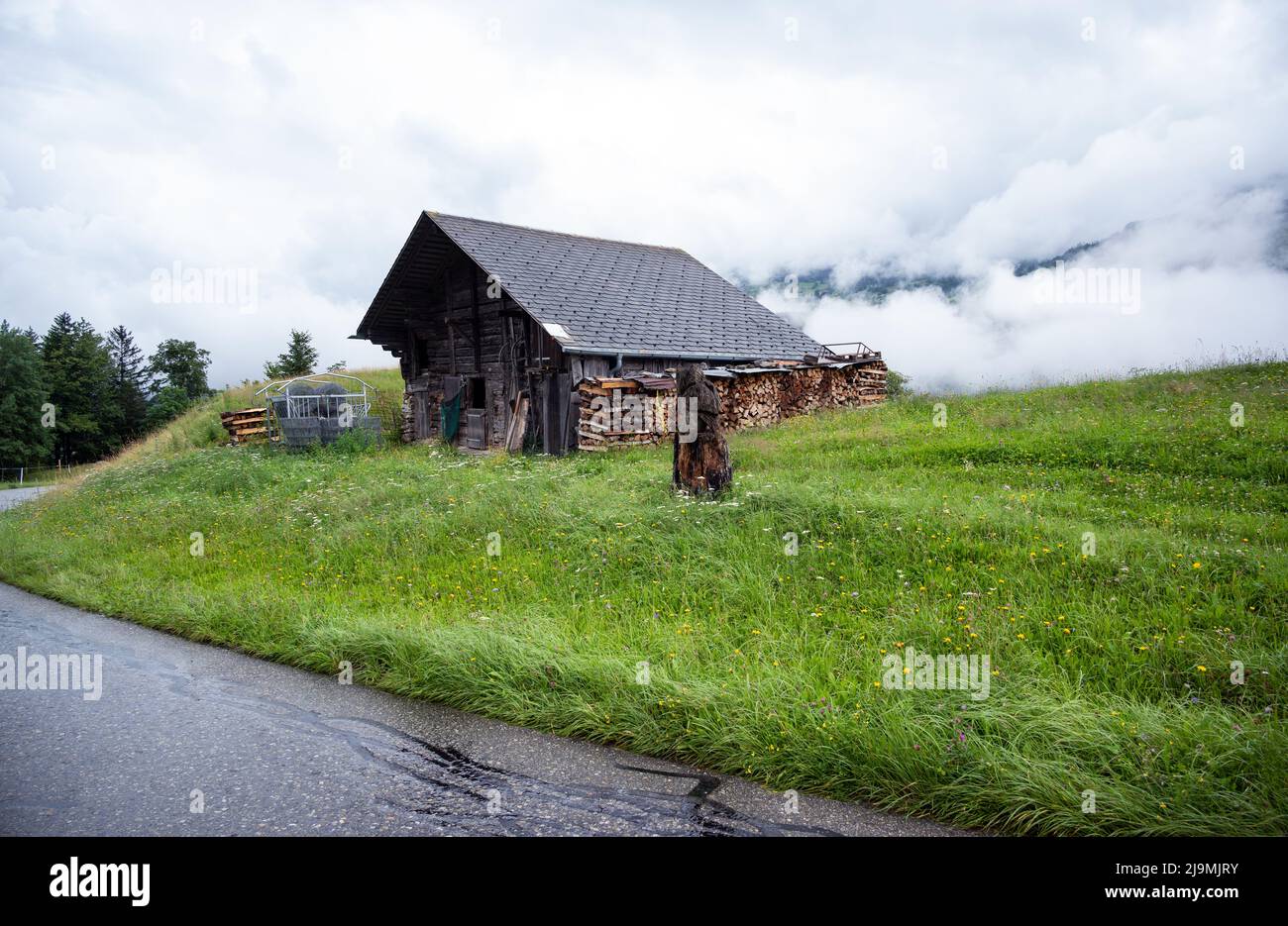 Große Baumstämme aus Holzprodukten der Holzindustrie, Forstwirtschaft zur Lagerung in einem Bauernhaus im Landdorf Schattenhalb in der Schweiz Stockfoto