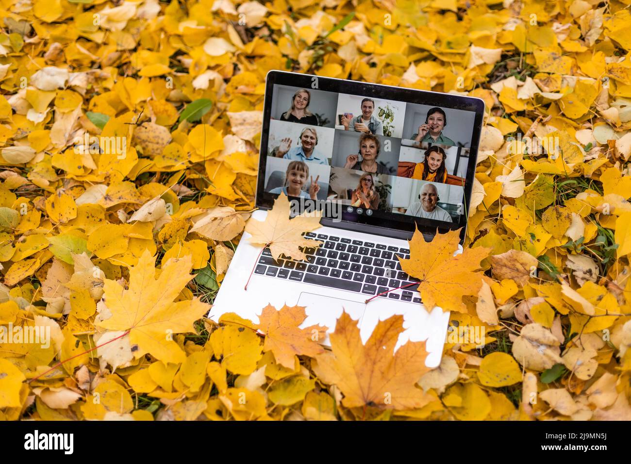 Laptop mit Bildschirm liegt auf einem im Hintergrund des Herbstparks Stockfoto