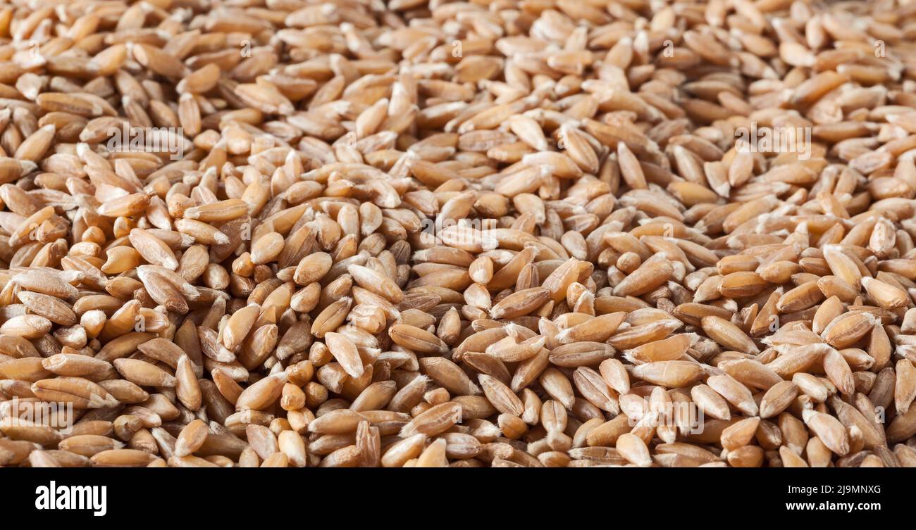 Nicht gegarten Grünkern Hintergrund Stockfoto