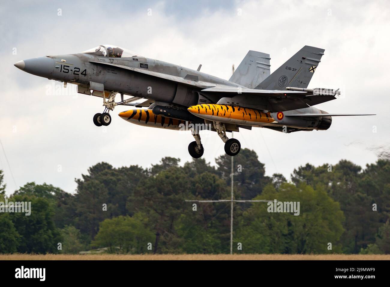 Die spanische Luftwaffe Boeing F/A-18 Hornet-Kampfflugzeuge starten während des NATO-Tigermeet 2019. Mont-De-Marshan, Frankreich - 17. Mai 2019 Stockfoto