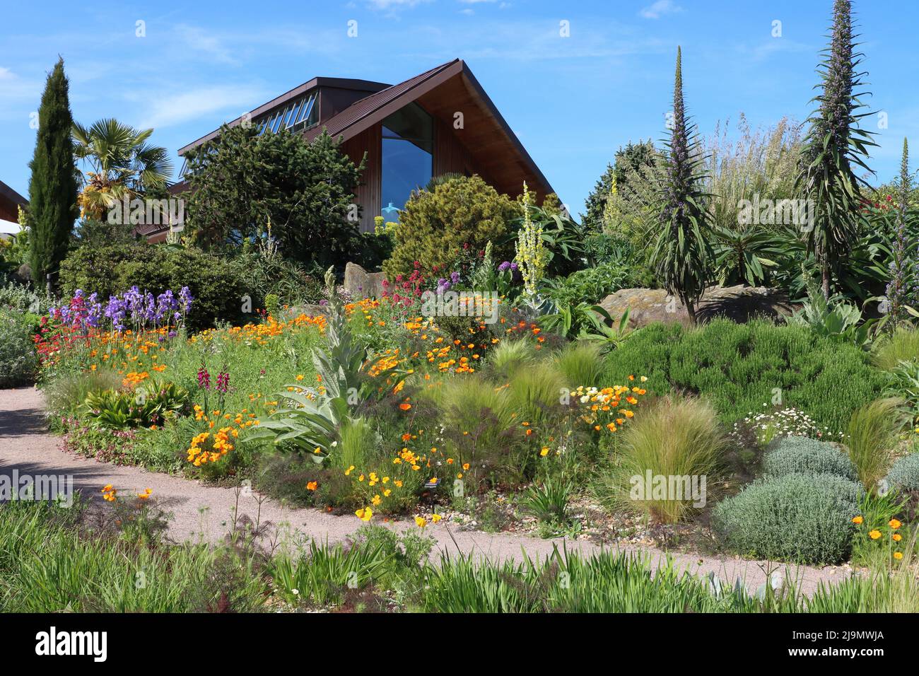 Dry Garden, RHS Hyde Hall Gardens, in der Nähe von Chelmsford, Essex, Großbritannien Stockfoto