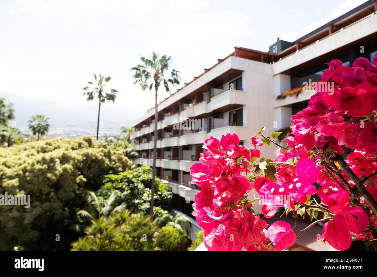 Blumen vor dem Hotel Botanico in Puerto de la Cruz, Spanien. Das Luxushotel verfügt über ein gehobenes Spa und einen gepflegten Garten. Stockfoto