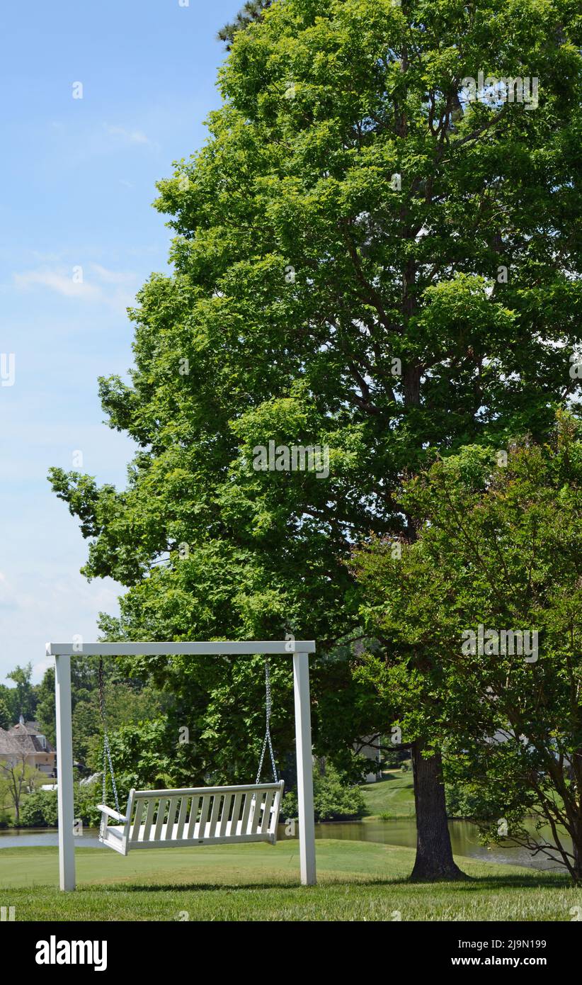 Hinterhof schaukeln in der Nähe eines hohen Baumes Stockfoto
