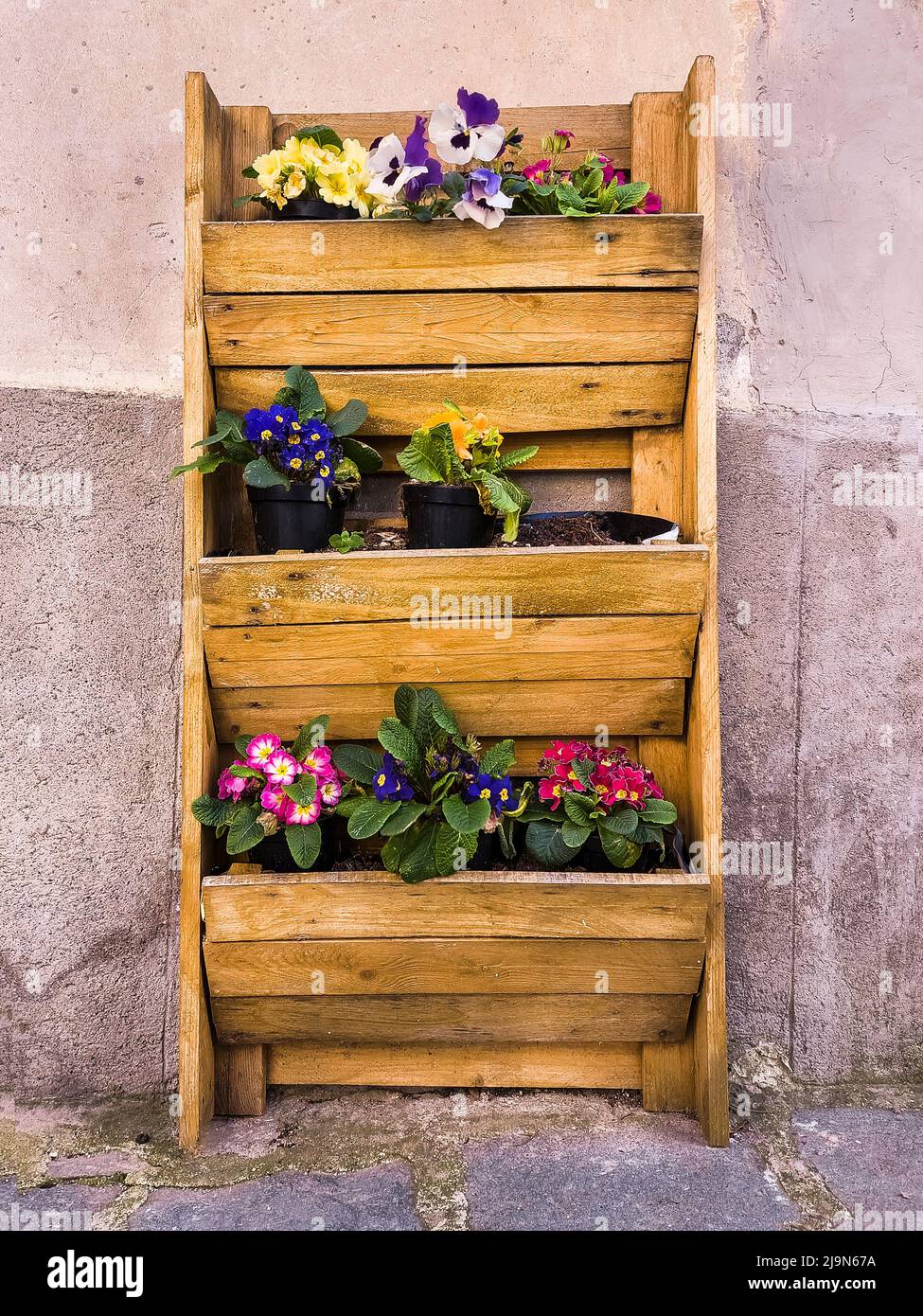 Wanddekor mit Blumenstraßen. Charmante, blumige Gassen typisch italienischer Dörfer. Civita di Bagnoregio. Italien Stockfoto
