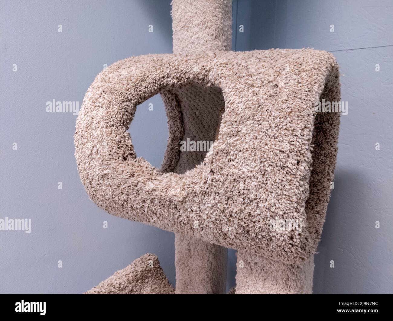 Nahaufnahme, selektiver Fokus auf einen leeren, mit Teppich ausgelegten Katzenturm in einem kleinen Raum Stockfoto
