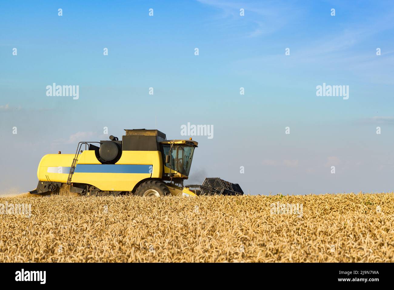 Mähdrescher ernten reifen Weizen. Reife Ähren gold Feld auf den Sonnenuntergang bewölkt orange Himmel Hintergrund. . Konzept für eine reiche Ernte. Landwirtschaft Stockfoto