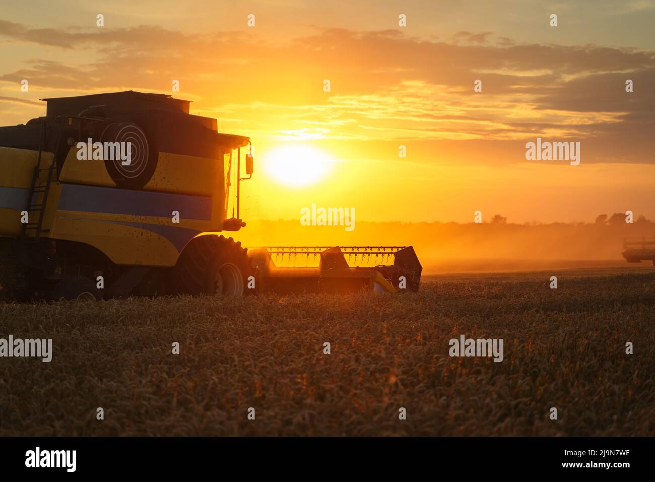 Mähdrescher ernten reifen Weizen. Reife Ähren gold Feld auf den Sonnenuntergang bewölkt orange Himmel Hintergrund. . Konzept für eine reiche Ernte. Landwirtschaft Stockfoto