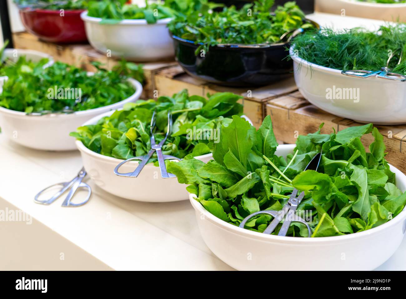 Schüsseln mit frischem Grün im Hotelbuffet. Konzept der gesunden Ernährung und Ernährung Stockfoto