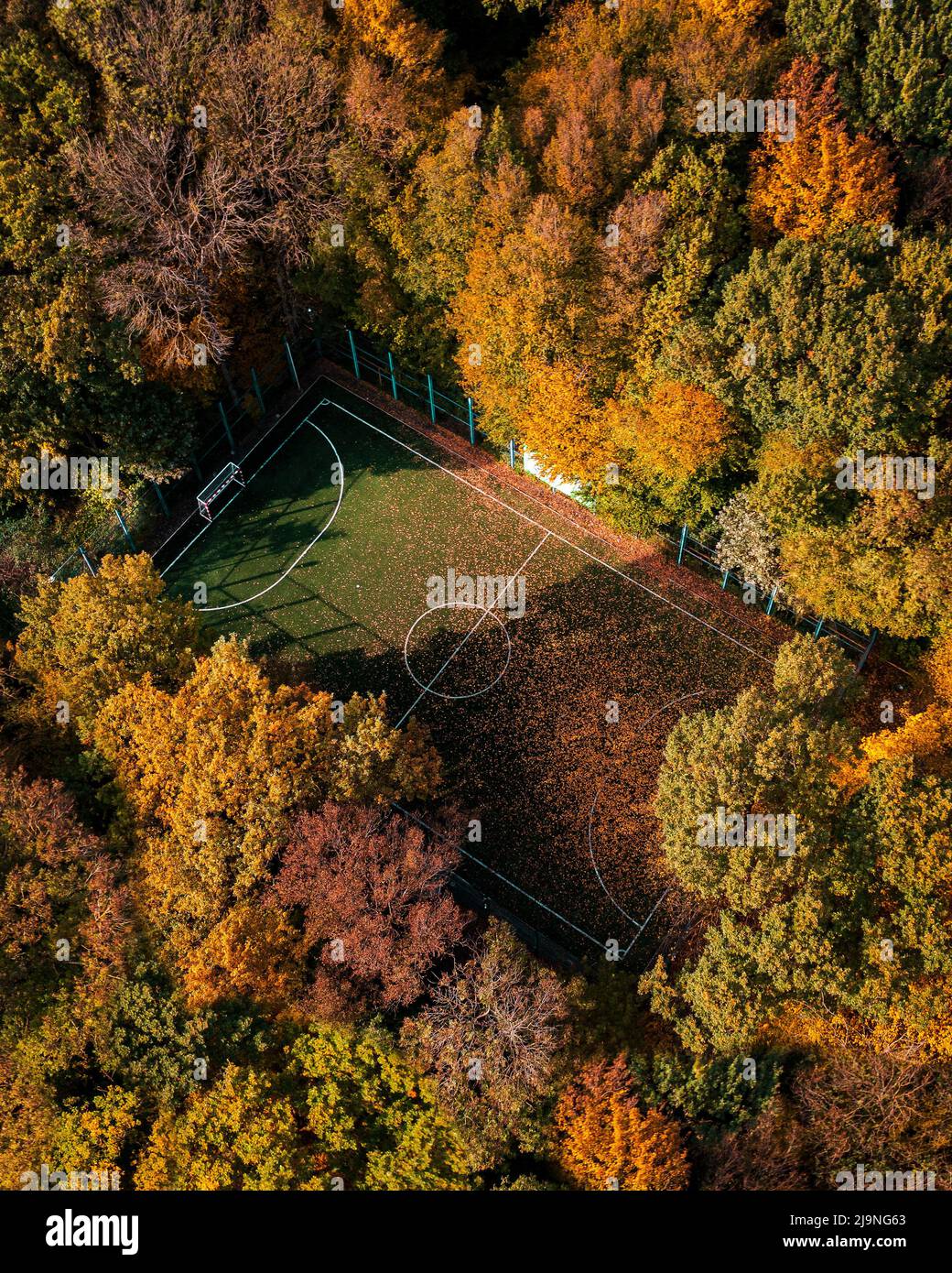 Draufsicht auf einen Fußballplatz im Wald im Herbst, hohe Bäume rund um das Stadion Stockfoto