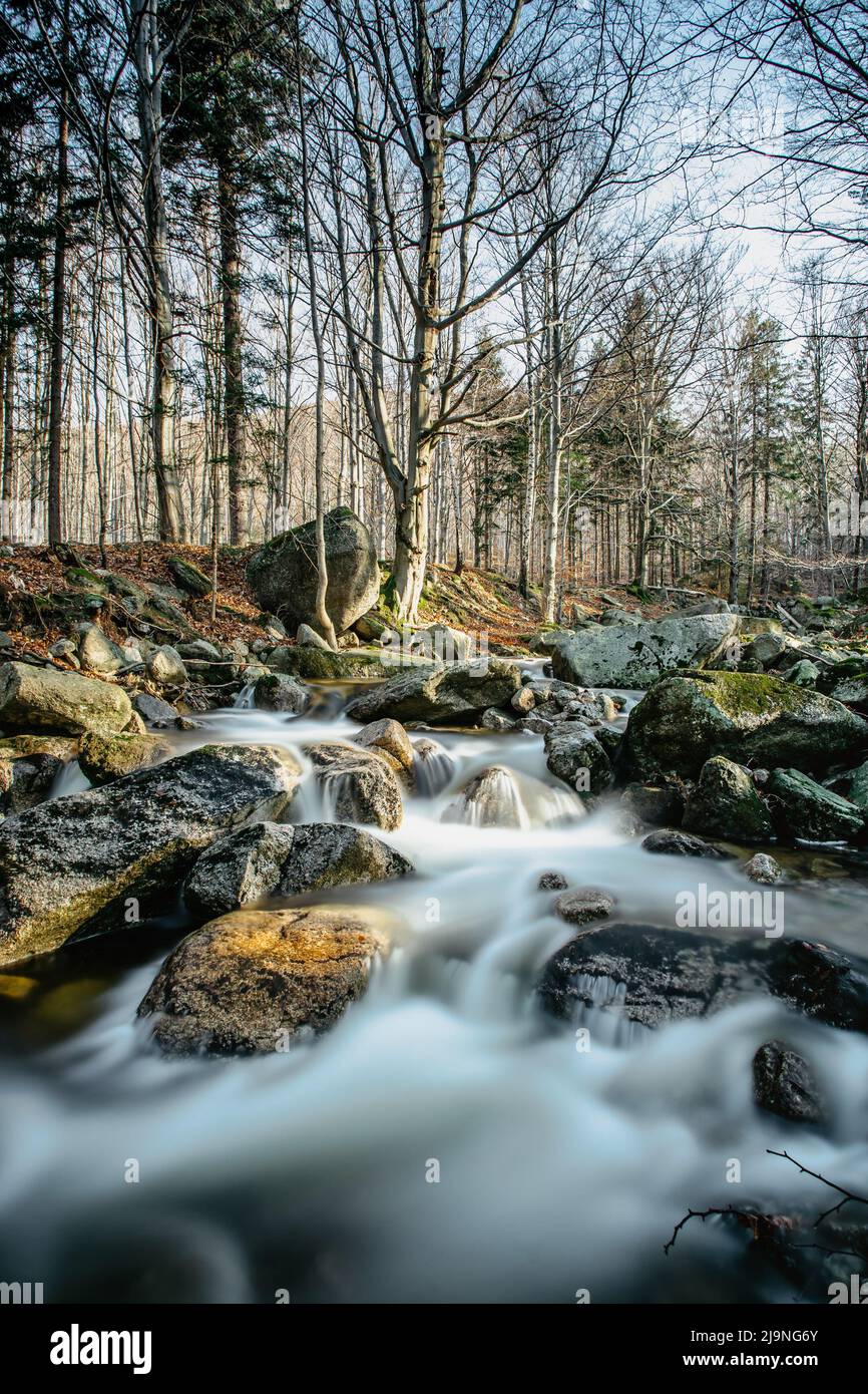 Tschechisches Naturschutzgebiet namens Jizerskohorske buciny,Isergebirge Buchenholz, auf der UNESCO-Liste.einzigartige Natur mit Buchen, Wasserfällen, wilden Bächen, Stockfoto