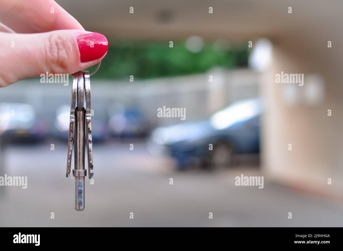 Frauenhand mit Metallschlüsseln auf verschwommenem Hintergrund mit Neuwagen Stockfoto