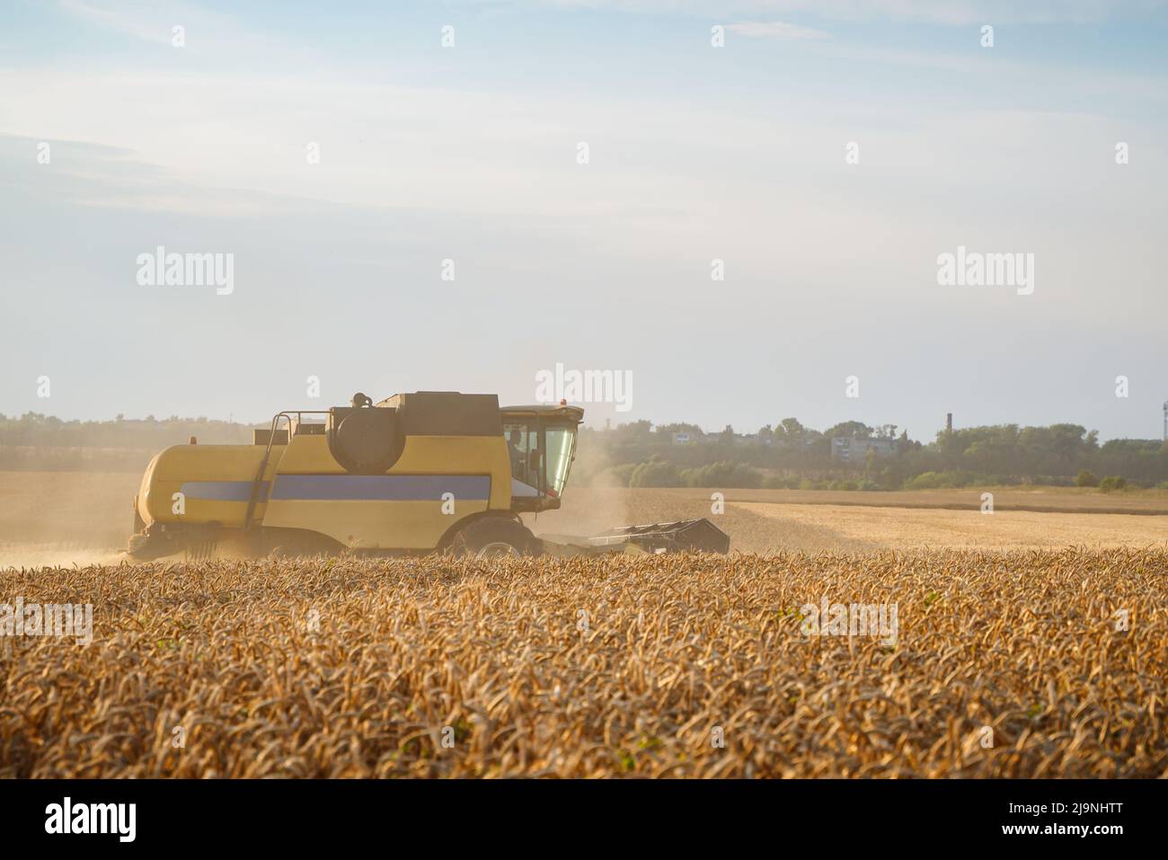 Mähdrescher ernten reifen Weizen. Reife Ähren gold Feld auf den Sonnenuntergang bewölkt orange Himmel Hintergrund. . Konzept für eine reiche Ernte. Landwirtschaft Stockfoto