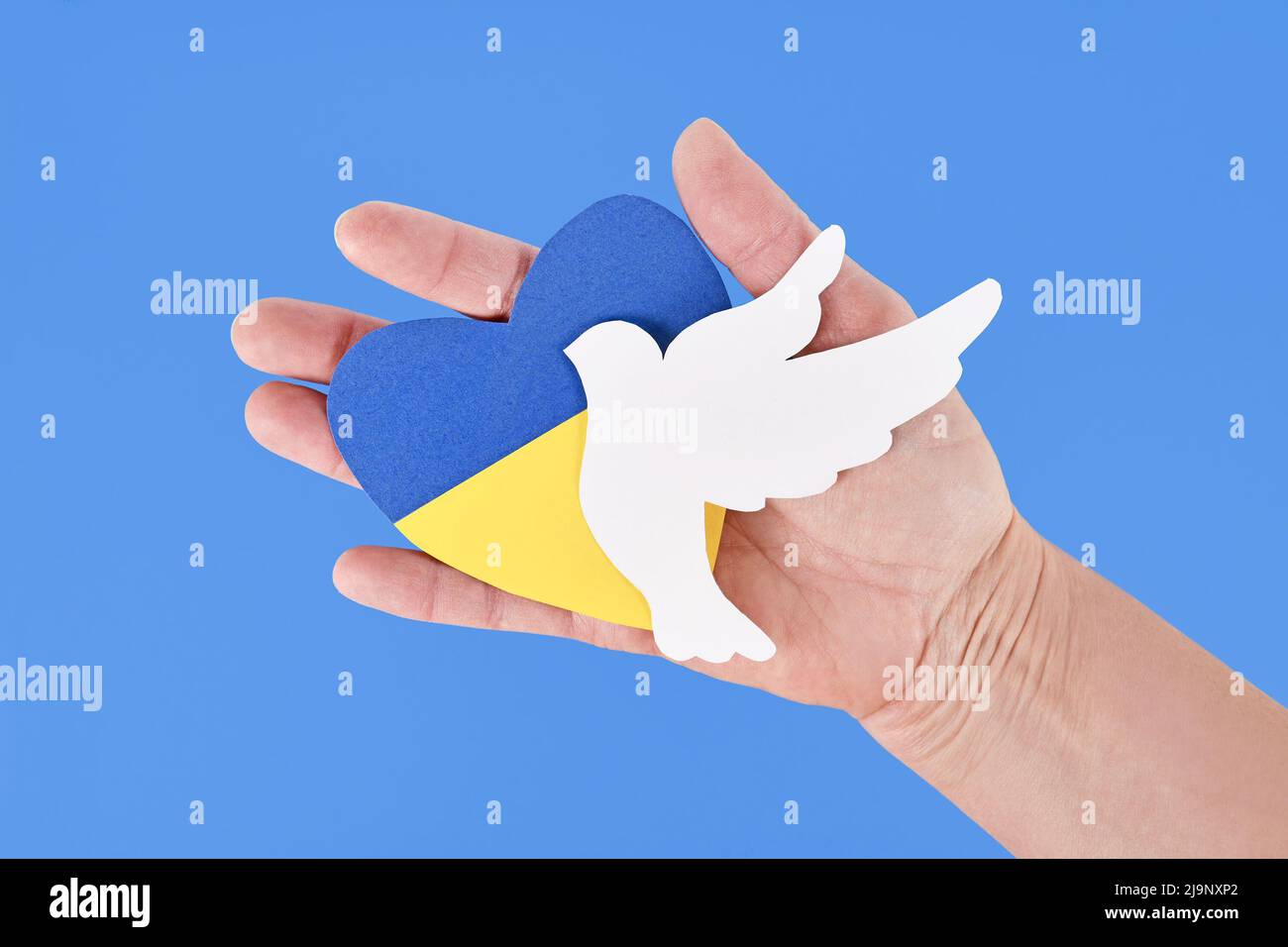 Hand halten Taube des Friedens und des Herzens mit Ukraine Flagge Farben blau und gelb Stockfoto