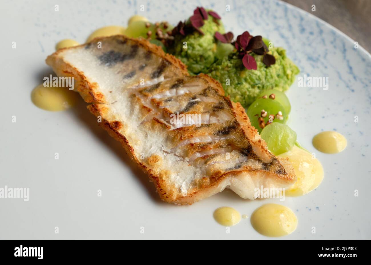 Nahaufnahme eines gegrillten Fischstücks mit grünem Püree und dunkelroten essbaren Pflanzen auf einem weißen Teller. Stockfoto