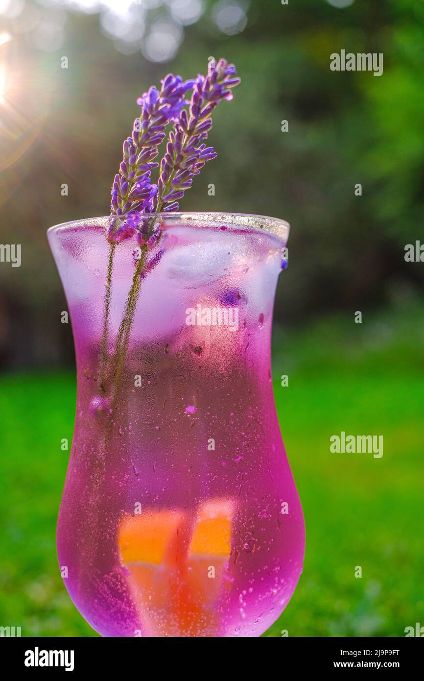 Sommergetränk.Nebelglas und Lavendelblüten in der Sonne.Glascocktail mit Getränk, Lavendel, Zitrone und Eis in der Sonne im Sommergarten.erfrischend Stockfoto