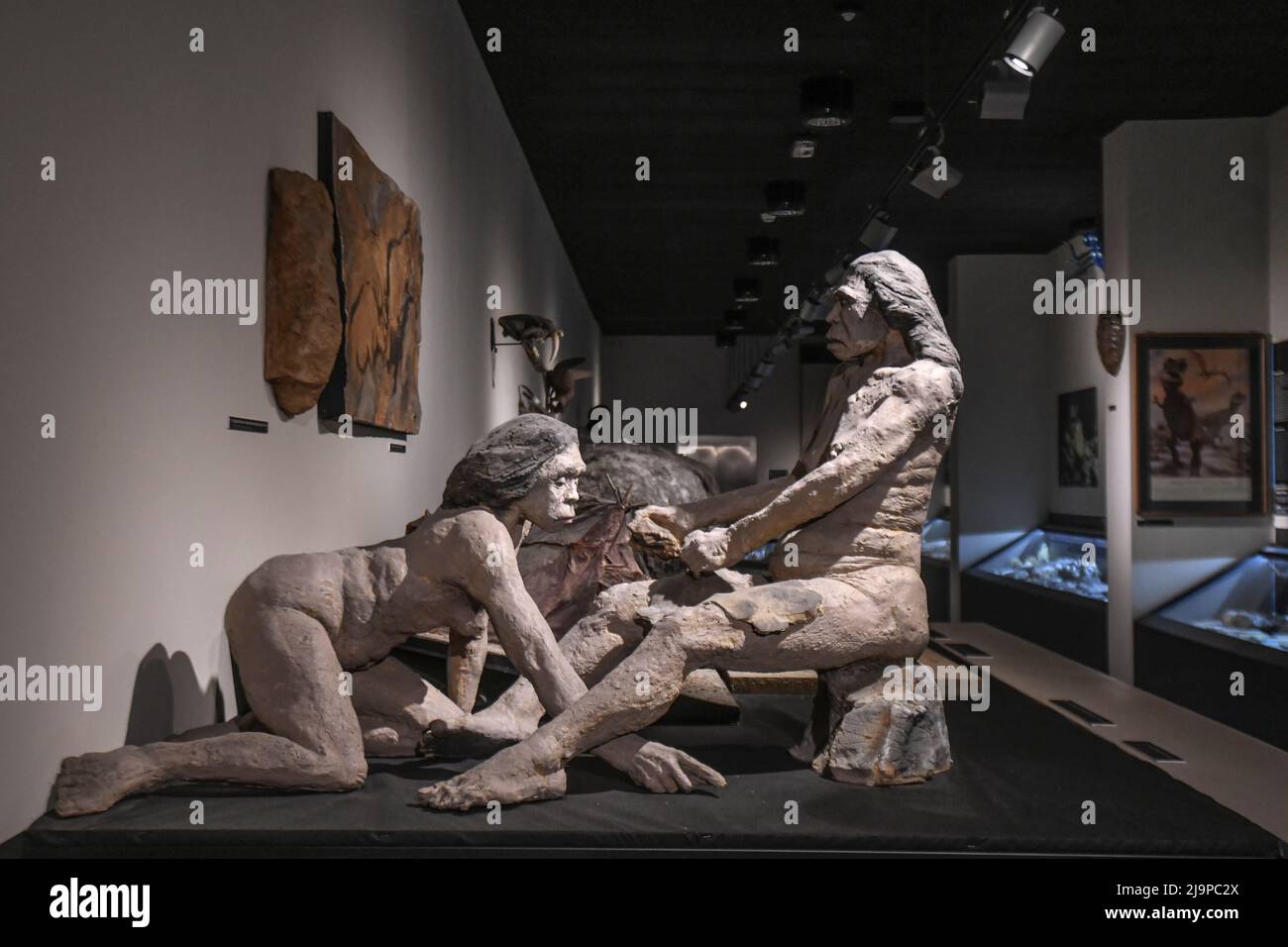 Ausstellung „Leben in einer Milliarde Jahren“. Museum des Parks Postojnska Jama, Slowenien Stockfoto