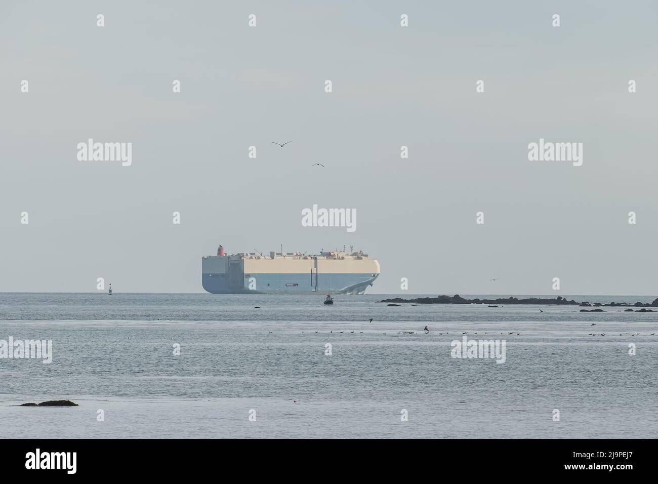 Frachtschiff am Horizont über dem Meer Stockfoto