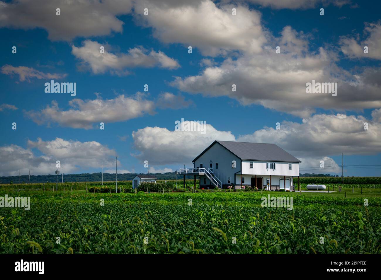 A View of an Amish Barn - Haus mit Gemüsegarten in der Mitte des Ackerlandes an einem sonnigen Tag Stockfoto