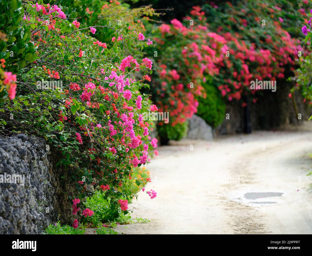 Stadtbild in Taketomi Insel Okinawa Präfektur, Japan Stockfoto