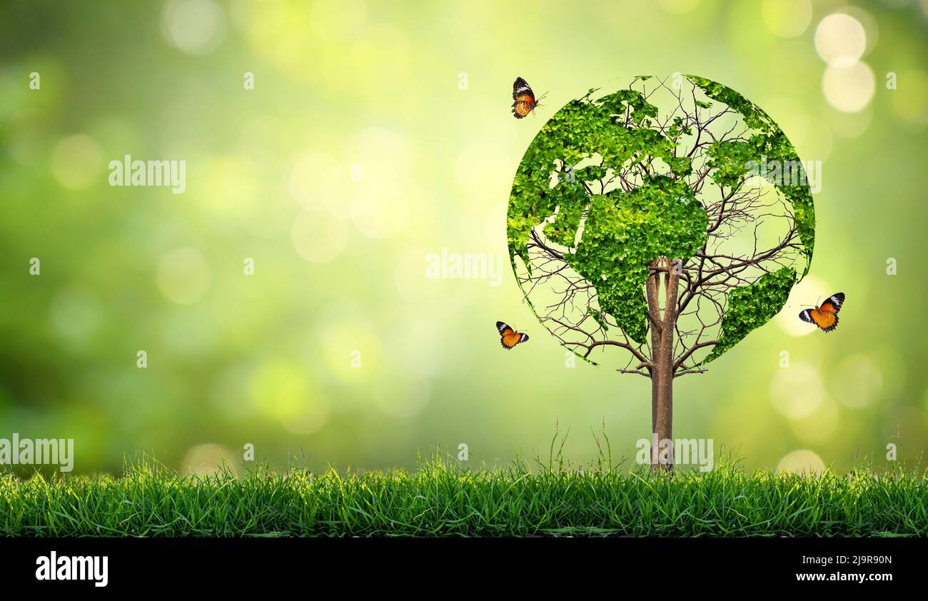 Ein Baum mit Blättern der Weltkarte, Konzept, Umwelt, retten die Welt Stockfoto