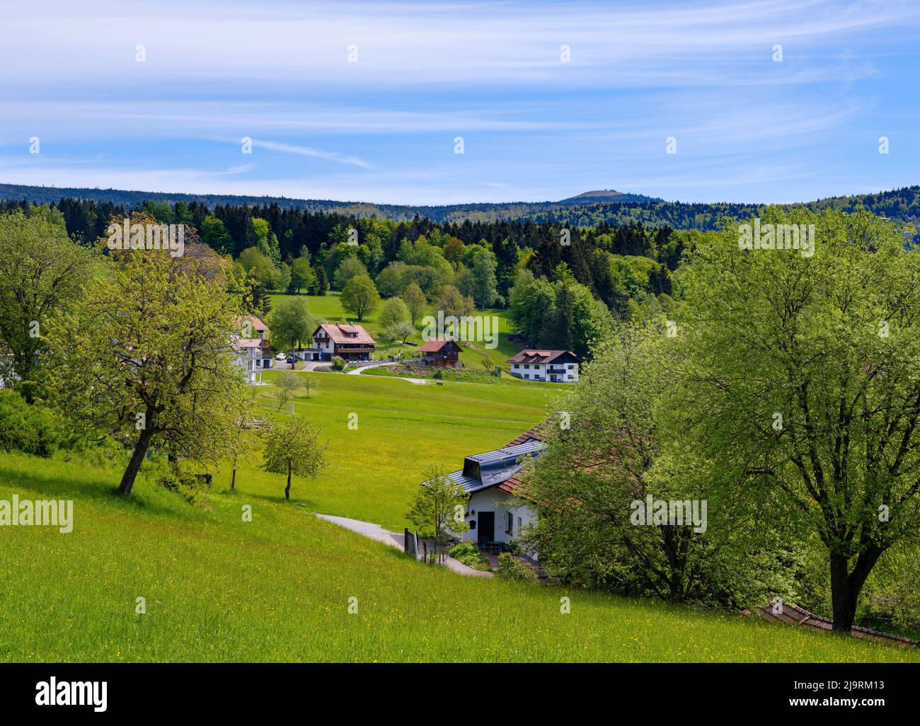 Kleines Dorf im Bayerischen Wald. Deutschland, Bayern Stockfoto