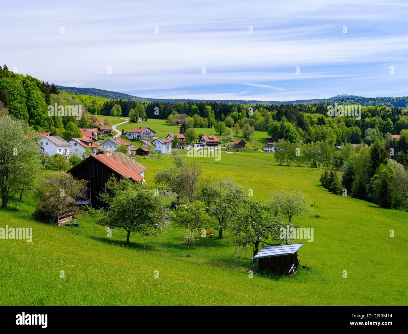 Kleines Dorf im Bayerischen Wald. Deutschland, Bayern Stockfoto