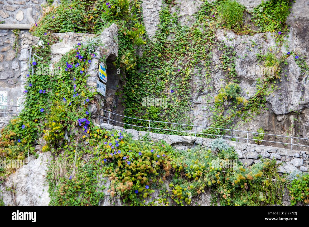 Italien, Positano. Morgenruhm bedeckt die Steinmauer und den Tunneleingang in der Nähe der Stadt Positano. Stockfoto