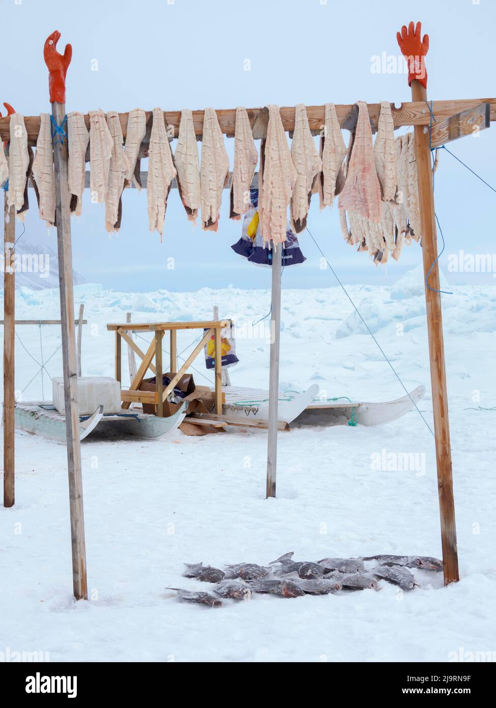 Fischercamp auf dem Meereis eines Fjords. Fischerei im Winter in der Nähe von Uummannaq im nördlichen Westgrönland jenseits des Polarkreises. Grönland, Dänisch te Stockfoto