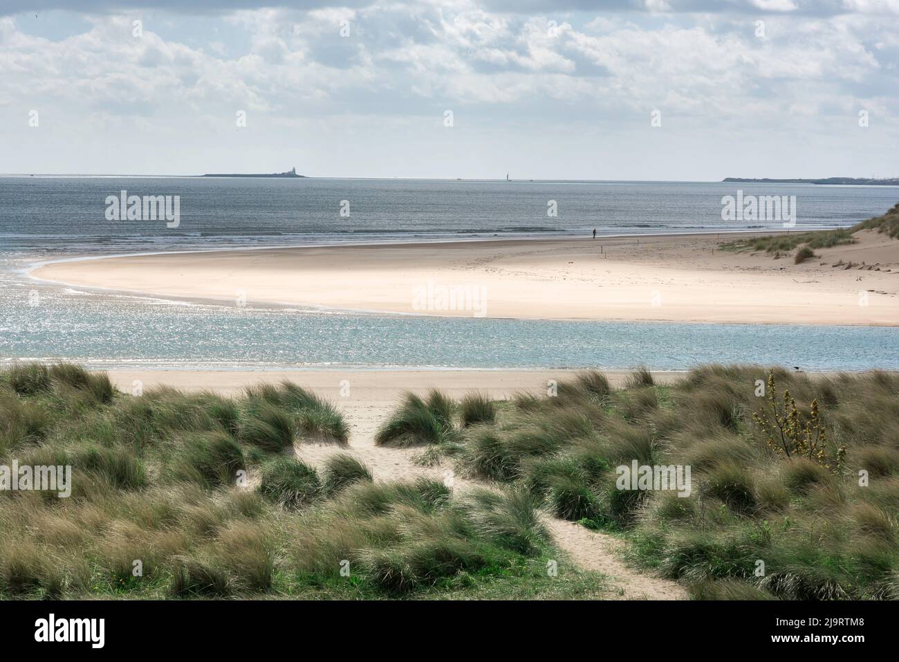 Strand Northumberland UK, Blick im späten Frühjahr auf die Dünen und den weißen Sandstrand in Alnmouth Bay an der Northumberland Küste, Alnmouth, England, Großbritannien Stockfoto