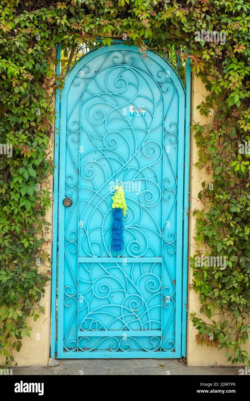 Todos Santos, Mexiko. Hellblaue oder türkisfarbene Tür in einer efeubedeckten Wand. Stockfoto