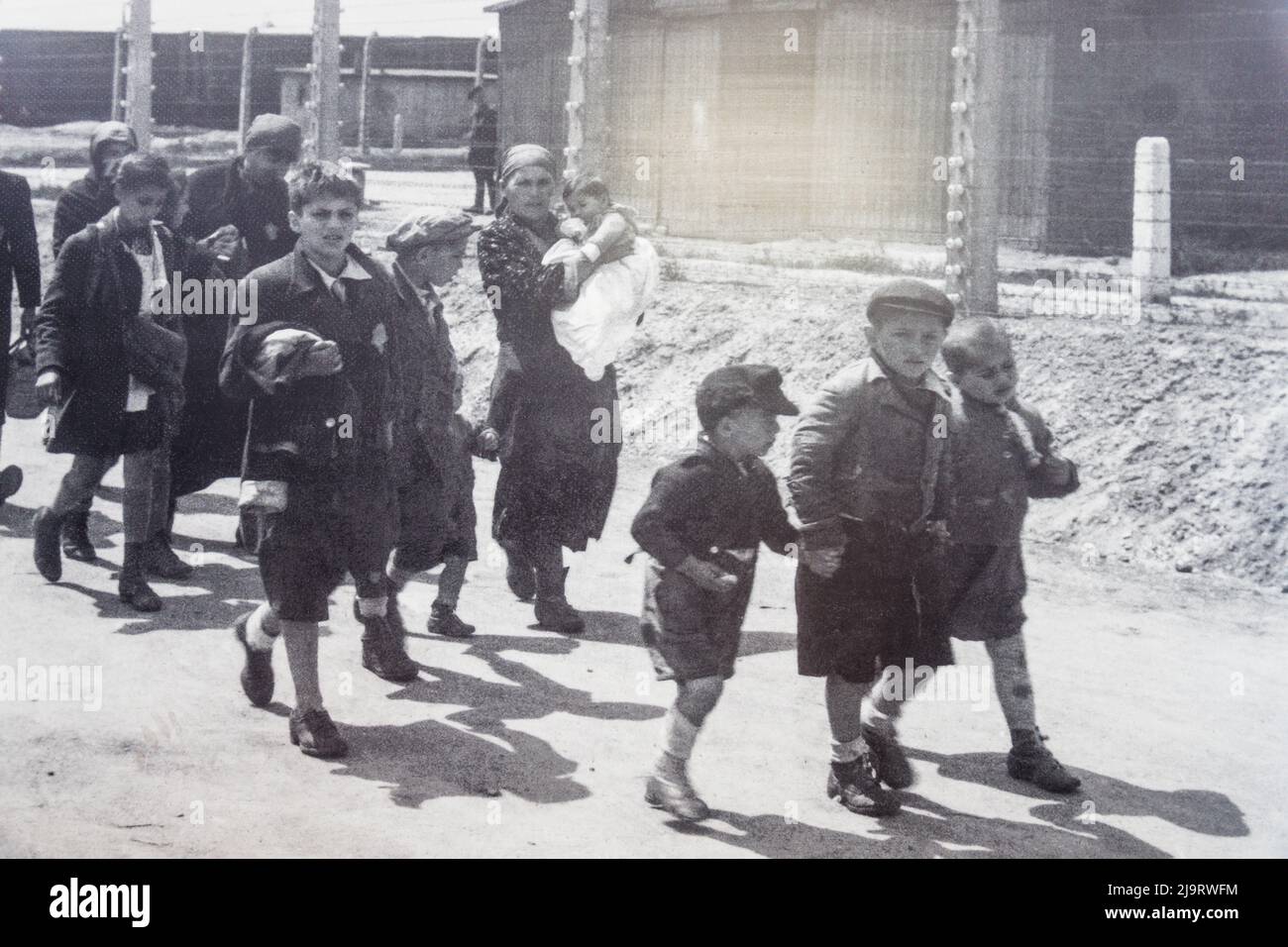 Häftlinge im Konzentrationslager Auschwitz-Birkenau. Auschwitz, Polen, ca. 1944 Stockfoto