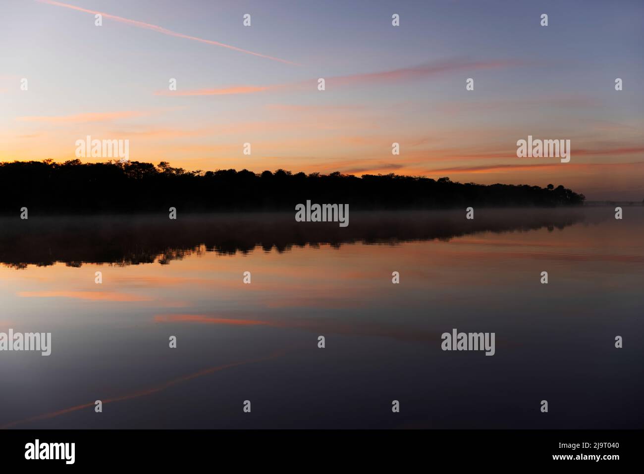 Predawn Blick auf Zypressen reflektieren Schwarzwasserbereich von St. Johns River, Zentral-Florida. Stockfoto
