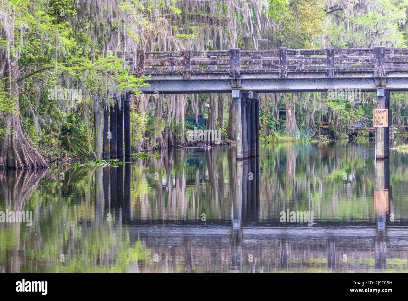 Usa, Florida. Brücke am Lochloosa Lake Stockfoto