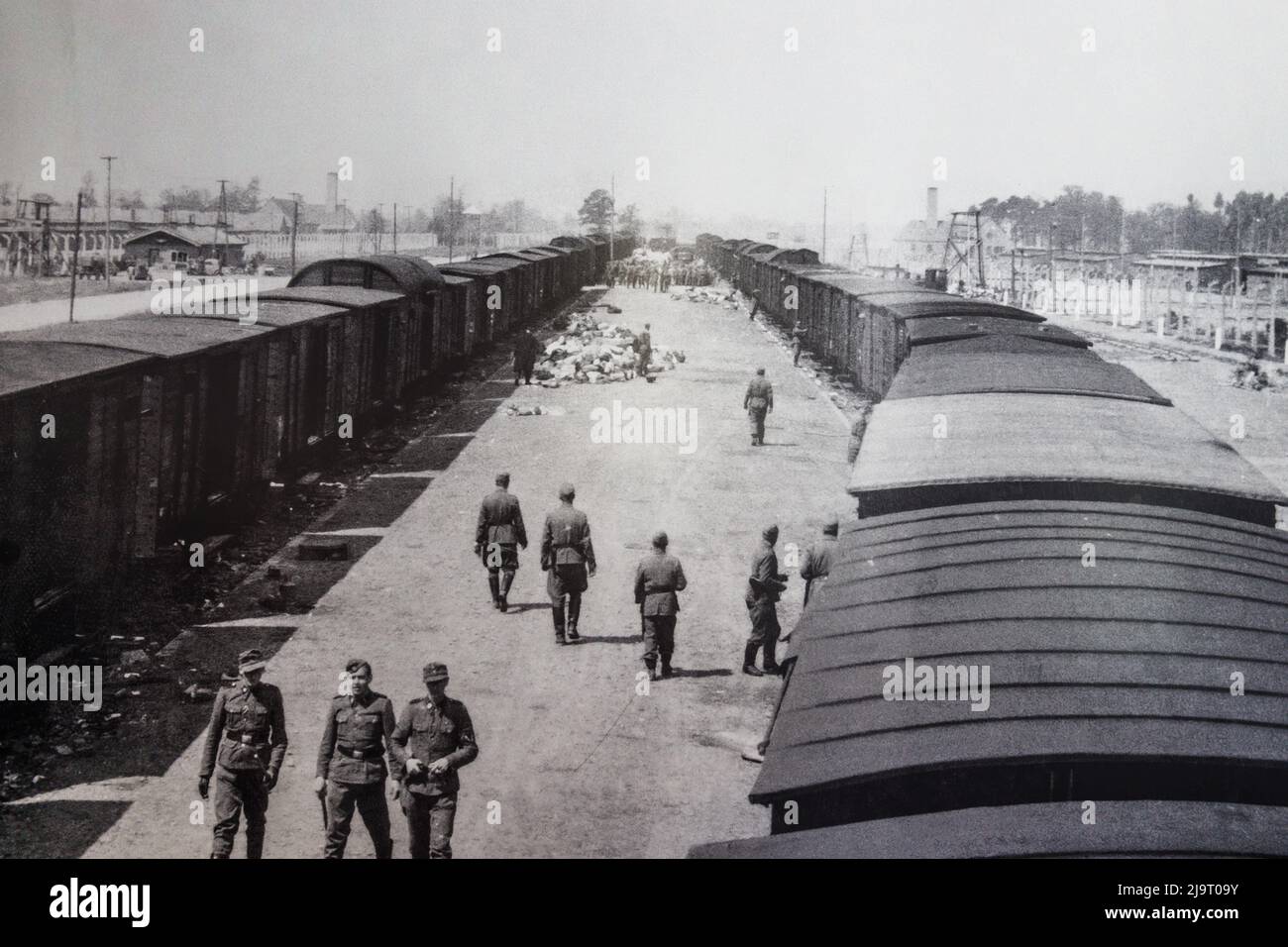 Nazi-Wachen im Konzentrationslager Auschwitz-Birkenau. Auschwitz, Polen, ca. 1944 Stockfoto