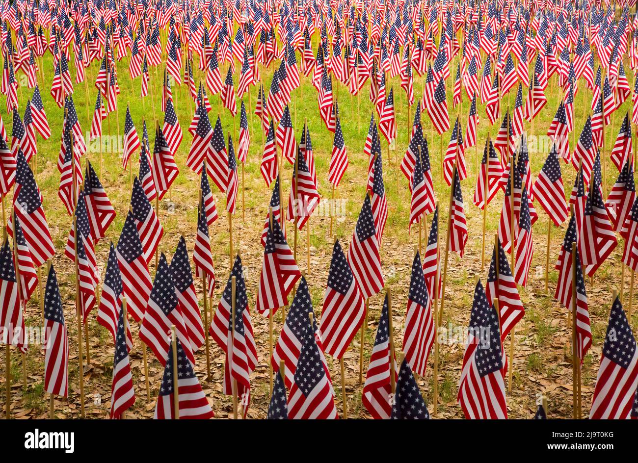 USA, Georgia, Savannah. Gedenkfeier mit amerikanischer Flagge. Stockfoto