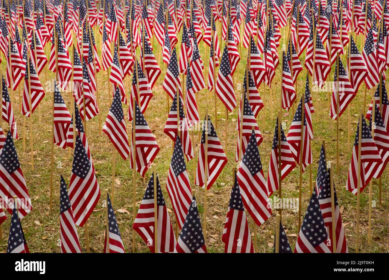 USA, Georgia, Savannah. Gedenkfeier mit amerikanischen Flaggen. Stockfoto